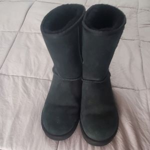 Classic short uggs